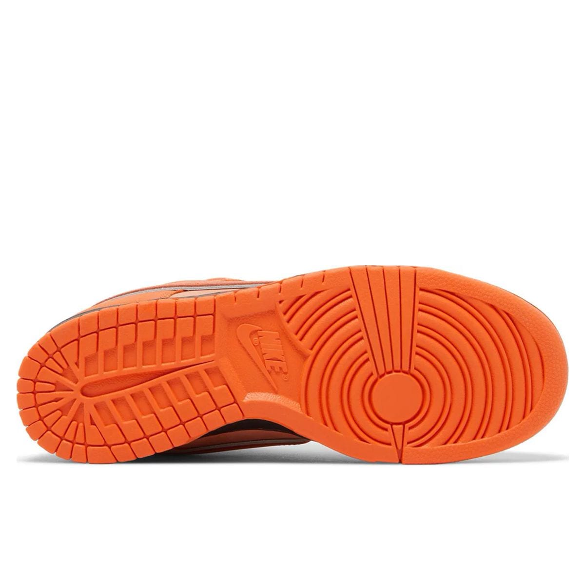 Concepts x Dunk Low SB Orange Lobster